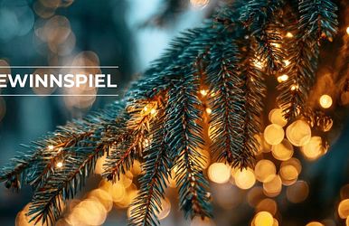 advent. advent - ihr glücksmoment