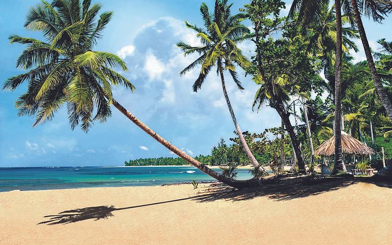 von der karibik nach kiel