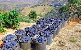 douro