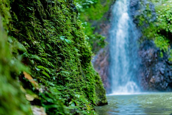 Q:\Destinationen\Costa Rica\AdobeStock_381250534 © Aishah_abo.jpeg