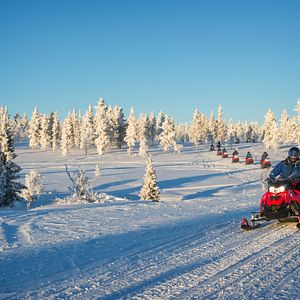 Lappland Schlittenhunde