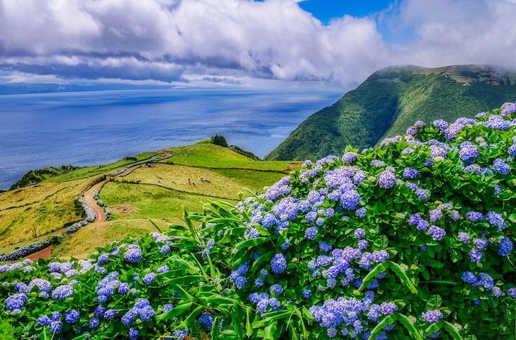 Impression zu AIDA Winter 2027/2028 - AIDAbella - Von Kiel über die Azoren in die Karibik