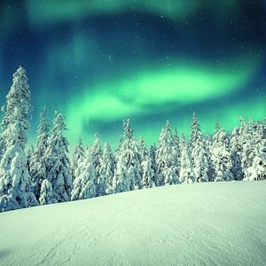 Finnland  Lappland Motorschlitten