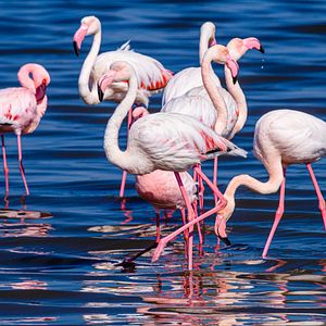 AdobeStock_275324368©Stephen_abo