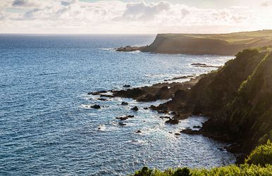 von der karibik nach hamburg