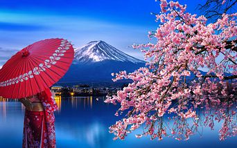 japan zur frühlingsblüte