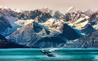 alaska und kanada