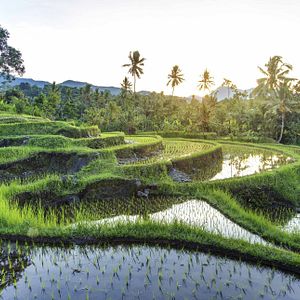 Silver Moon_Allgemein & Bilder_außen_©Silversea Cruises Ltd.