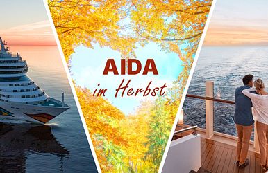 aida herbst special