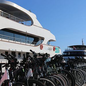 Moonlight Fahrräder