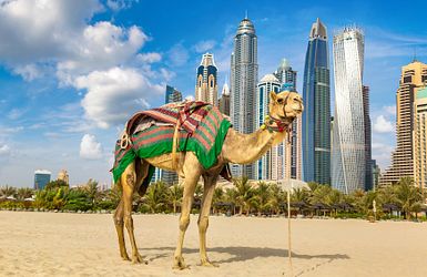 Von Dubai über Mauritius nach Kapstadt
