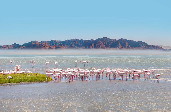 Impression zu AIDA Angebot der Woche - AIDAstella - Südafrika & Namibia