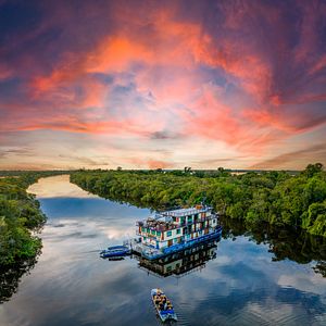 Amazonas Brasilien Brüllaffen