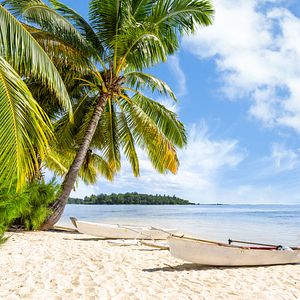 Karibik Bahamas Strand