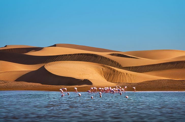 Impression zu Winter 2026/27 - Mein Schiff Flow - Namibia und Südafrika intensiv