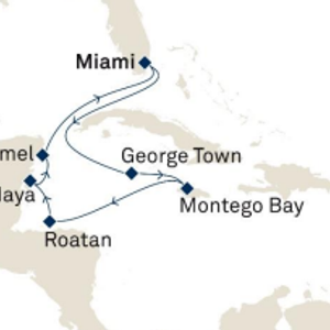 Karibik Palme mit Liegematte