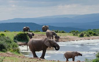 von dubai über mauritius nach kapstadt