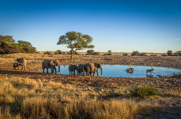 Impressionn zu AIDA Transreisen 2026/27 - AIDAstella - Von Antalya über Namibia nach Kapstadt
