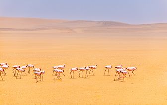 südafrika, namibia & indischer ozean