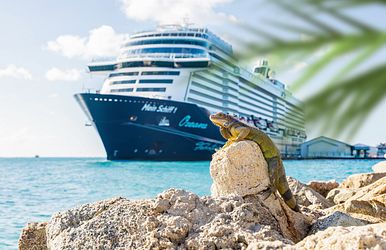 langzeiturlaub mit <i> mein schiff <sup>®</sup> </i>