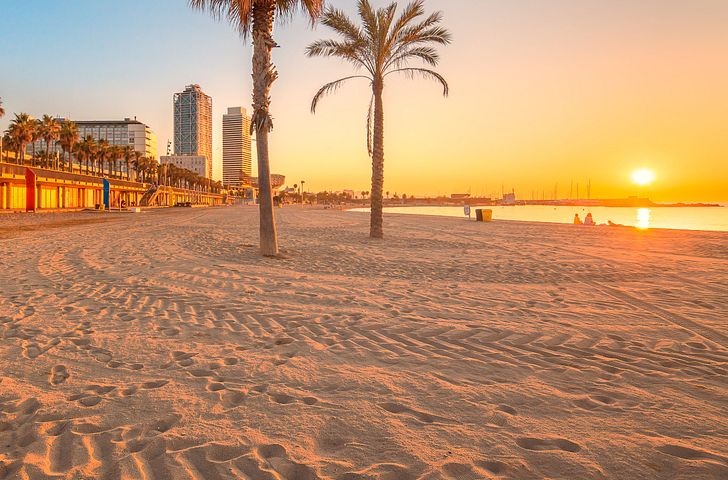 Impression zu WM 2026 - MSC Seaview - Wellen der mediterranen Magie