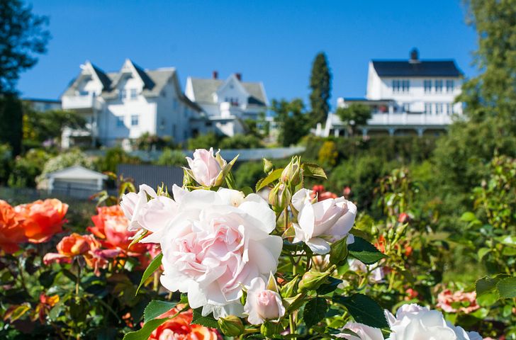 Impressionen zu Sommer 2027 - MSC Preziosa - Nordische Wunderreise