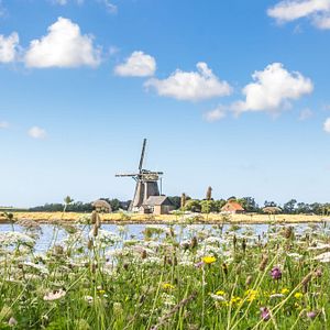 Stadt Enkhuizen an Fluss _AdobeStock_359943909 © Nataraj