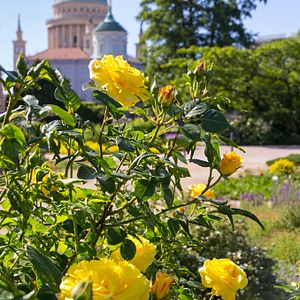 Magdeburg_Dom_AdobeStock_291054660 © marcus_hofmann