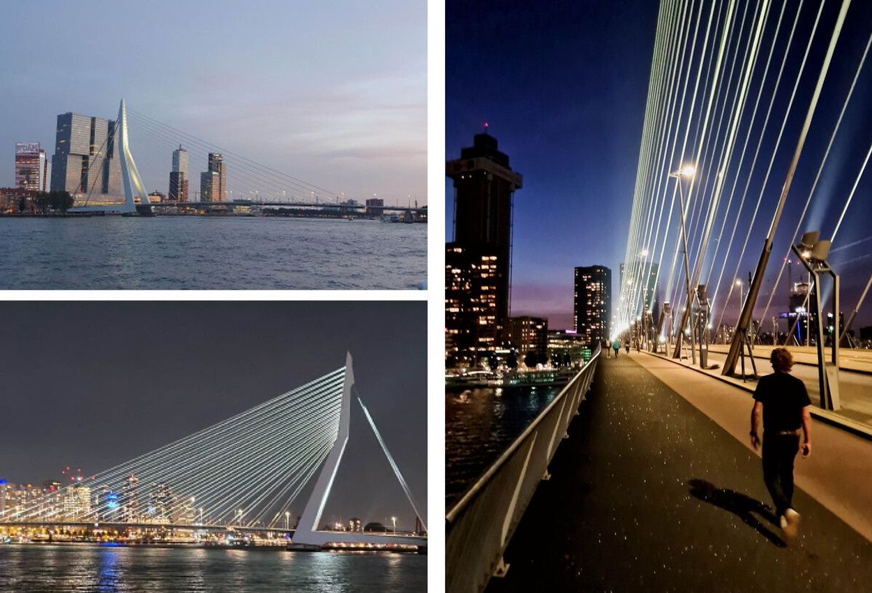 Rotterdam - Erasmusbrücke