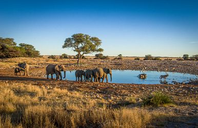 namibia und südafrika intensiv