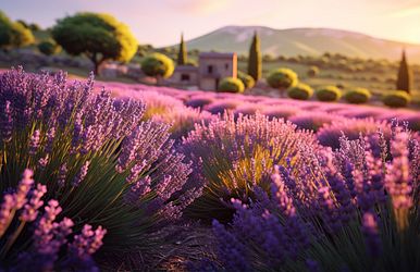 nicko cruises angebot der woche