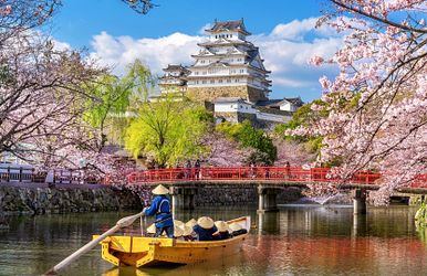 china, südkorea & japan zur frühlingsblüte