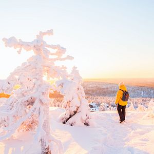 Finnland  Lappland Motorschlitten