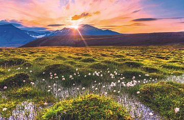 Sehnsuchtsziel Spitzbergen