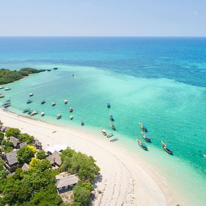 Elefanten in Tansania