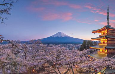 große japan-rundreise zur frühlingsblüte