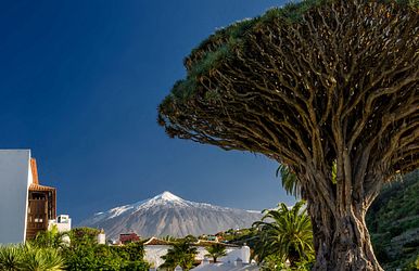 winterauszeit auf den kanaren
