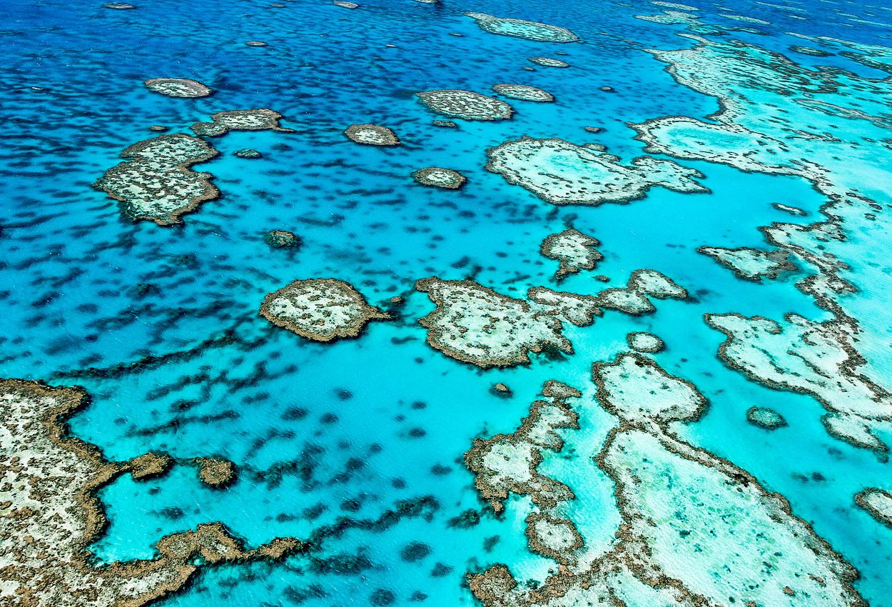 Great Barrier Reef Australien