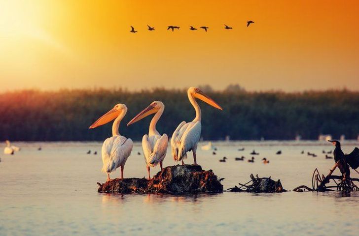 Impressionen zu A-ROSA Basic - A-ROSA Flora -Donau Stadt & Natur