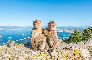 Mallorca & die mediterranen Schätze mit Gibraltar