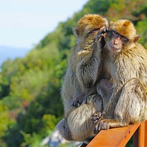 PapagayoBeach_Lanzarote_AdobeStock_298044578© Balate Dorin_abo_ztv5