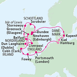 Schafe in Irland