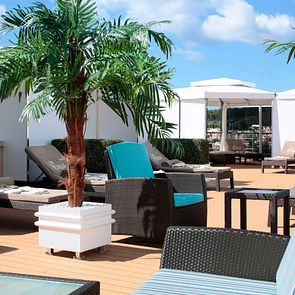 MS Westerdam - Holland America Line - MS Westerdam