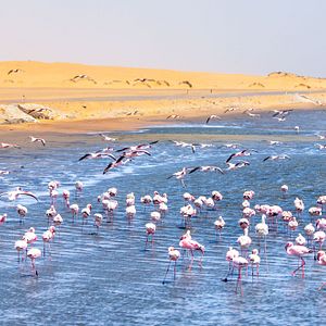 Walvis Bay Namibia