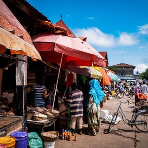 Elefanten in Tansania