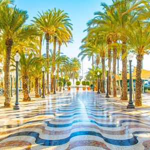 MS Insignia Pooldeck