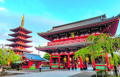große japan-rundreise zur frühlingsblüte