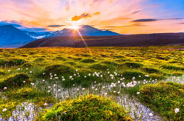 Impression zu AIDA COMFORT ALL IN Highlights - AIDAluna - Highlights am Polarkreis