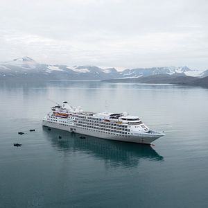 Königspinguine, Fortuna Bay, South Georgia, Antarktis