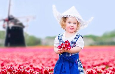 holland und flandern zur tulpenblüte